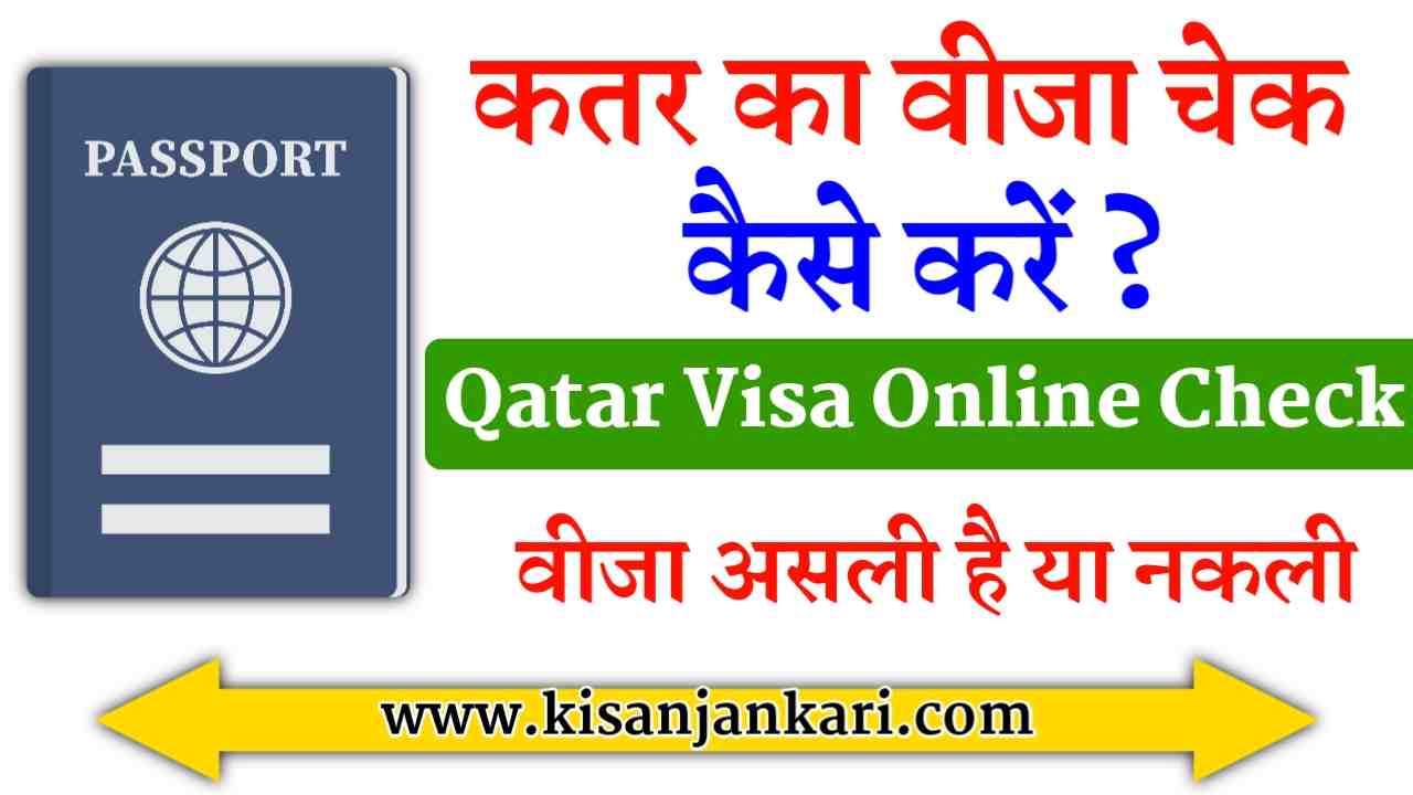 Qatar visa check