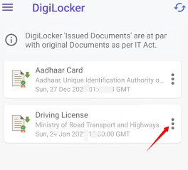 Driving Licence Download pdf