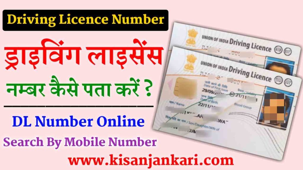 Driving Licence Number Kaise Pata Kare 