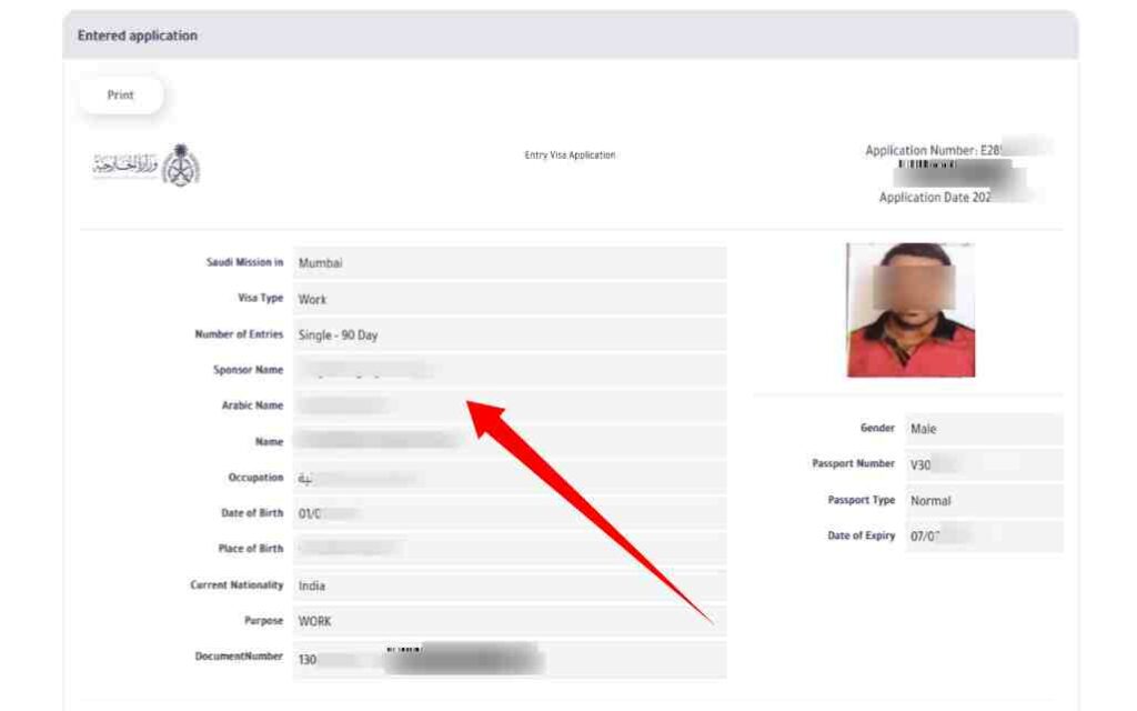 saudi visa online check online 