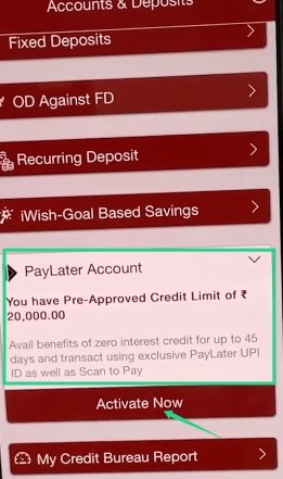 upi pay later activate process 